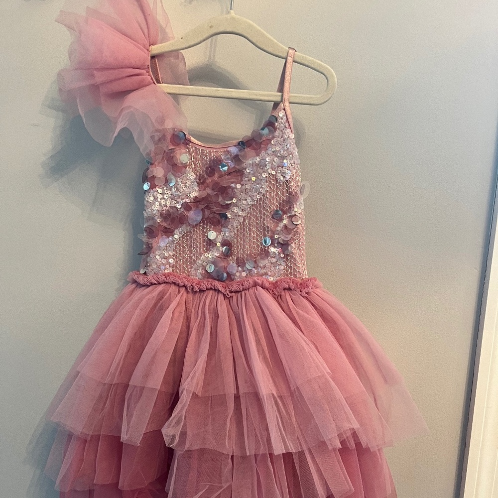 Chiffon tutu dumonde sequined dress